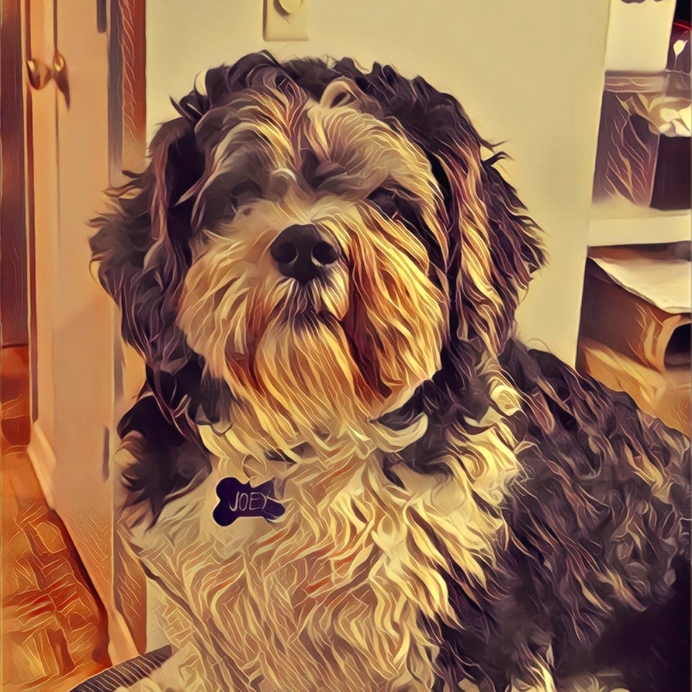 Meet your Posher, Marissa